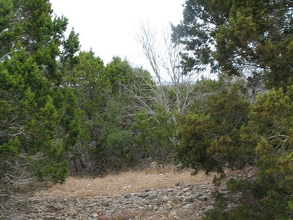 4th image of 108 Los Arboles Ln