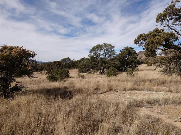 89 Lookout Loop, Datil, NM 87821