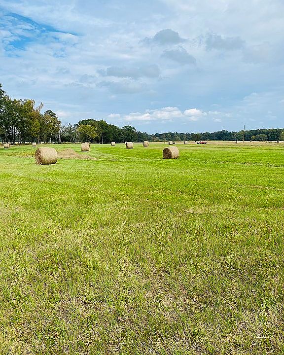 2nd image of New Zion Rd