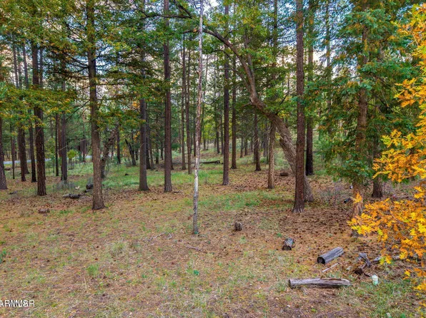000 County Road 2196 -- #74A, Alpine, AZ 85920