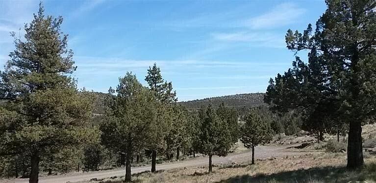 1st image of Tl 2200 Se Winchester Loop
