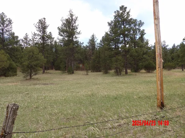 23704 Verde Loma Span Hl #151, Boncarbo, CO 81024