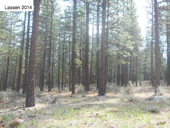 5th image of 0 Gray Eagle Ln