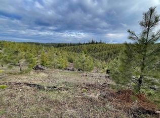 Badger Ridge Dr PARCEL 4, Orofino, ID 83544