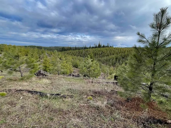 Badger Ridge Dr Parcel 4, Orofino, ID 83544