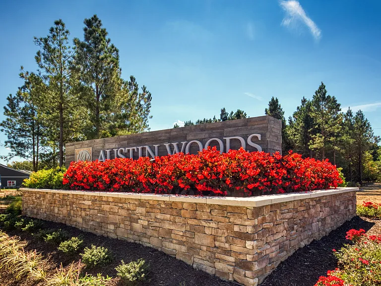 Austin Woods — Photo 6