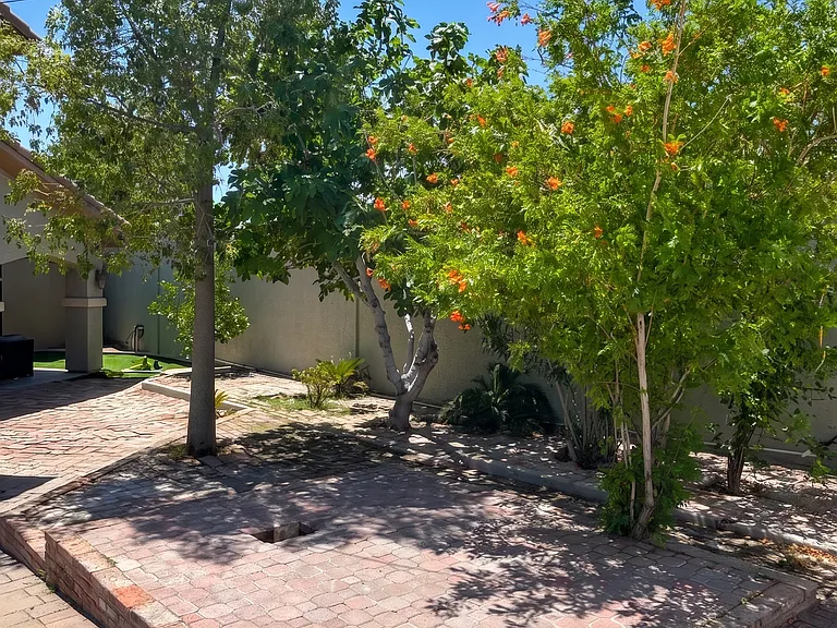 800 Antonio Dr — Photo 29