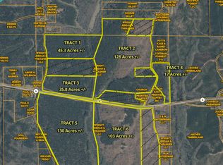 0 Highway 4 E LOT WP001, New Site, MS 38859
