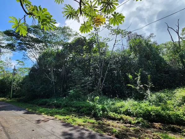 Ohiki St Lot 1453, Pahoa, HI 96778