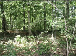 9 & LOT 10, Wappapello, MO 63966