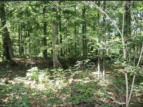 9 & Lot 10, Wappapello, MO 63966