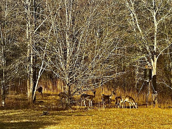 5th image of 1072 Ford Rd