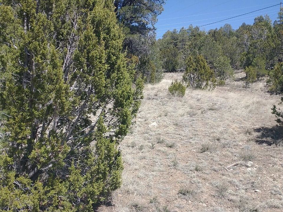 1st image of 1979 Bradley Ln Lot 224