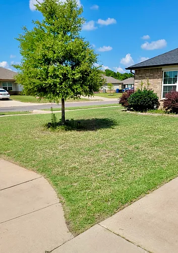 1101 Ironstone Dr Photo 1