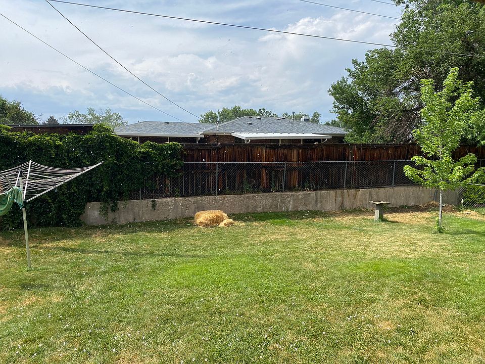 Rear Yard - I'm a dog person. Appropriate dog is welcome (see requirements)