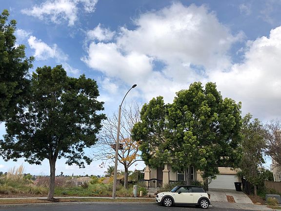 Only one immediate neighbor.