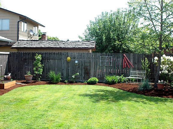 backyard looking east