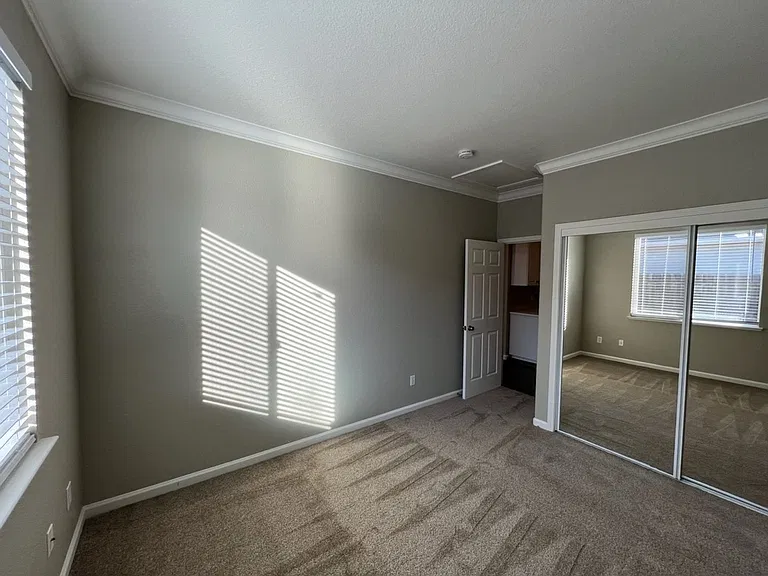 937 Jasmine Hollow Dr — Photo 13
