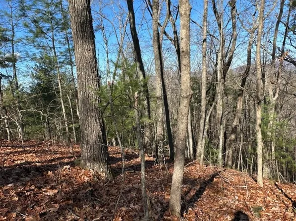 Township Road 26 Hickory Dr, Mineral Bluff, GA 30559
