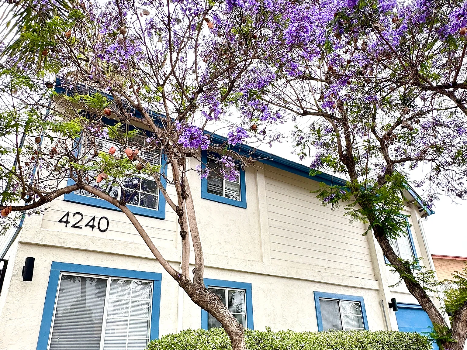1 bed, 750 sqft, $1,895 — Photo 1