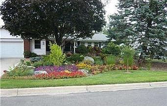 Boulevard garden last summer