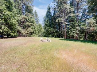 28722 Wood Rd, Pioneer, CA 95666
