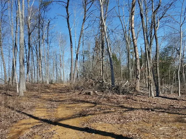 Bat Creek Rd E, Vonore, TN 37885
