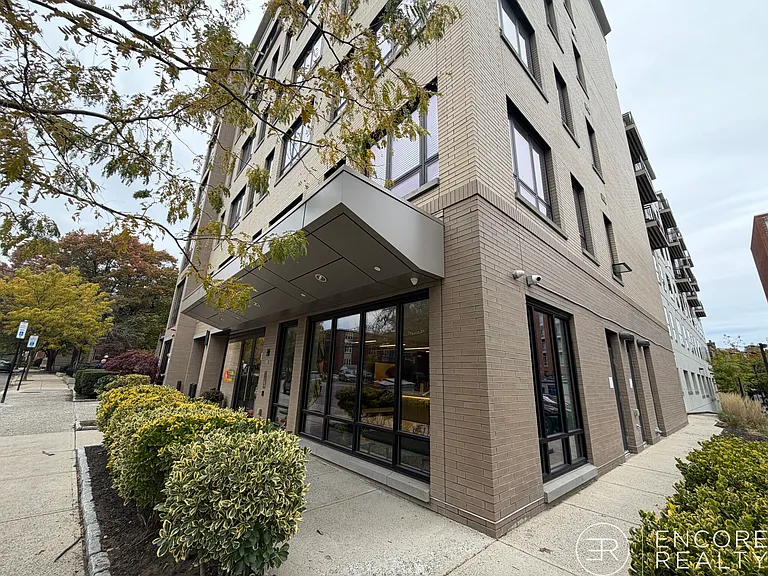 40 Marion St #207 — Photo 17