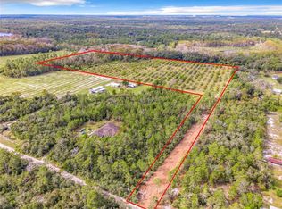 1ST Avenida Vis, Orlando, FL 32820