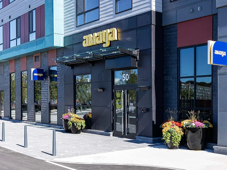 Amaya — Photo 8