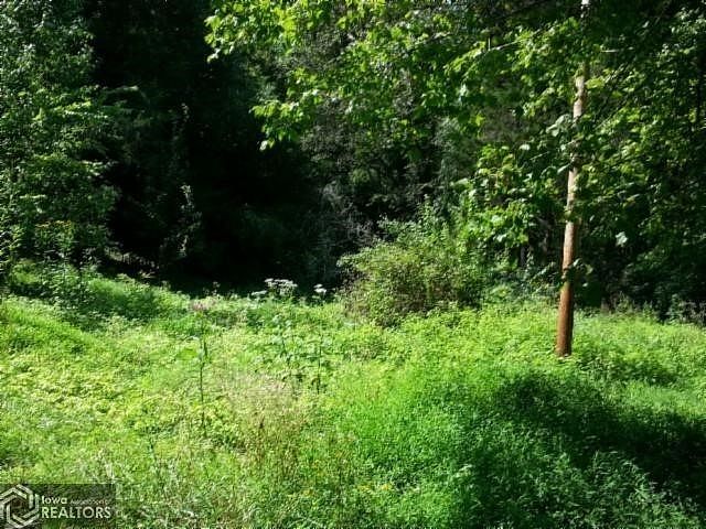 1st image of 0 Dorothy Pealer Ln