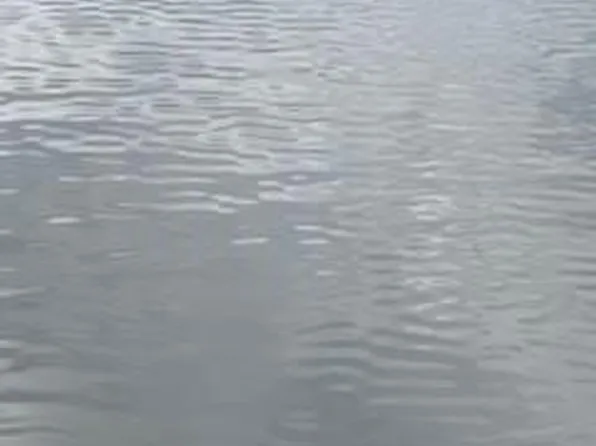 19600 612th Ave, Litchfield, MN 55355