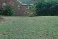 1st image of 4021 Belvedere Dr