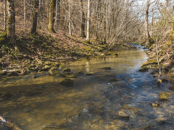 00 Hickory Cove Rd, Rogersville, TN 37857