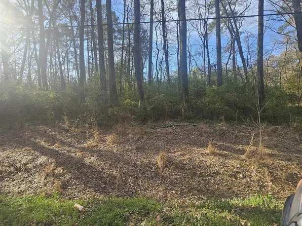 0.50 Mitchell St, Madison, AL 35757