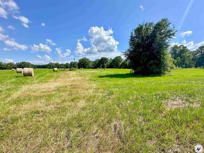 0 County Road 4322, Avery, TX, 75554