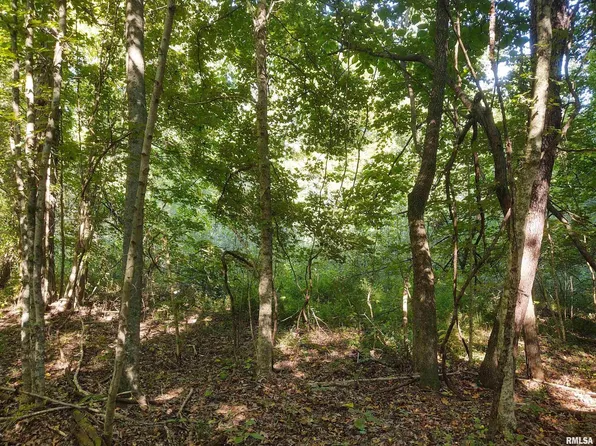 3830 Gum Springs Rd, Ozark, IL 62972