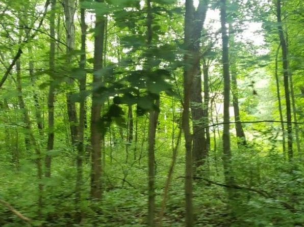 14950 Loon Lake Dr, Bellevue, MI 49021