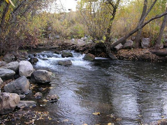 Ogden River, in the back yard