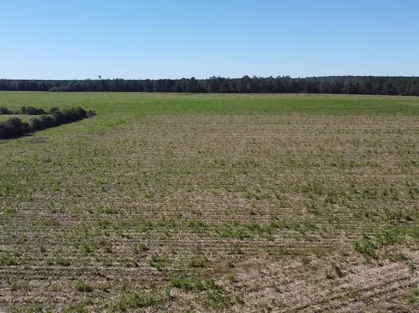 5600 Highway 97, Mc David, FL 32568