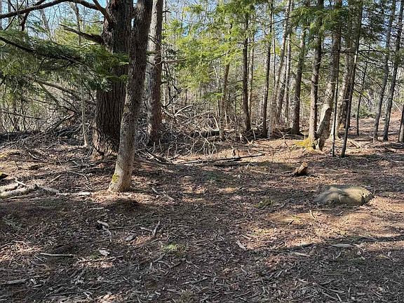 4th image of LOT Alma Rd #A
