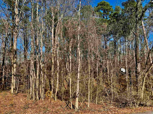 0 Tamra Ln, Alexander, AR 72002
