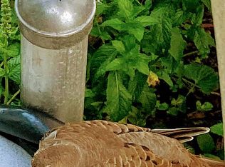 335 W Elm St, East Rochester, NY 14445