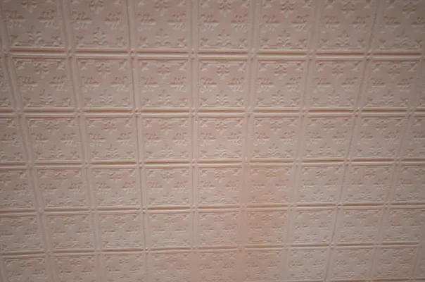 Rented by Swythe, Inc. | media 19