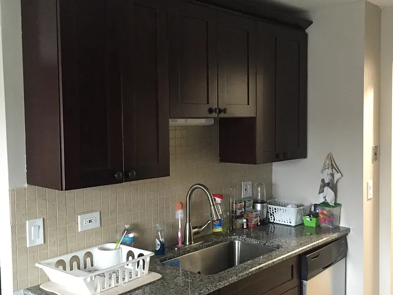 8631 W Foster Ave #3B — Photo 5