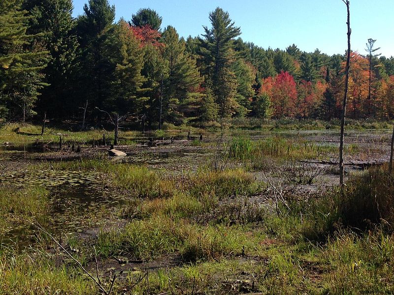 5th image of 302 NEW VERMONT Road