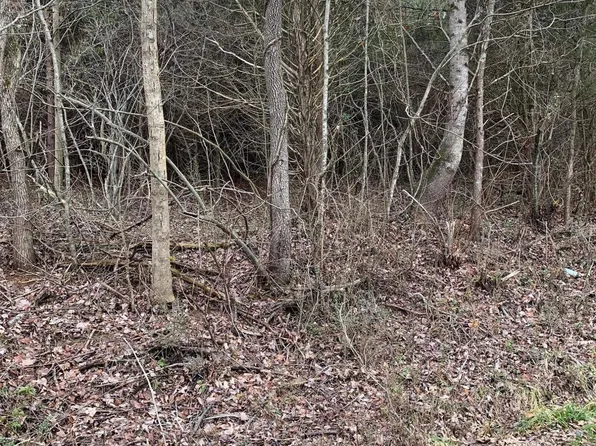 LOT 9 Brantley Acres Rd, Speedwell, TN 37870