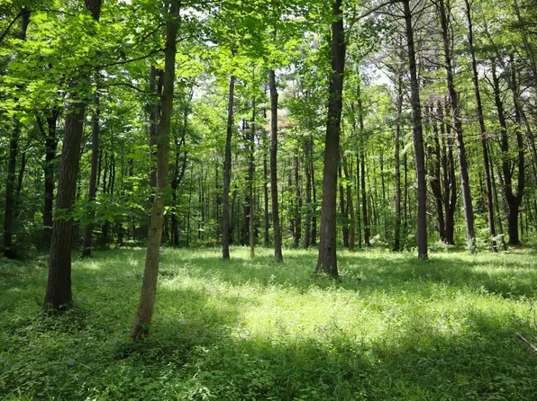 0 Sacandaga Rd, Schenectady, NY 12302