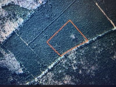 LOT 8 Rocky Springs Rd, Eastman, GA, 31023