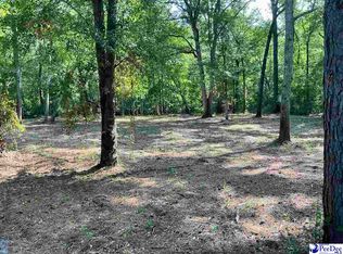 18 & 19 Pointe View Dr, Darlington, SC 29532